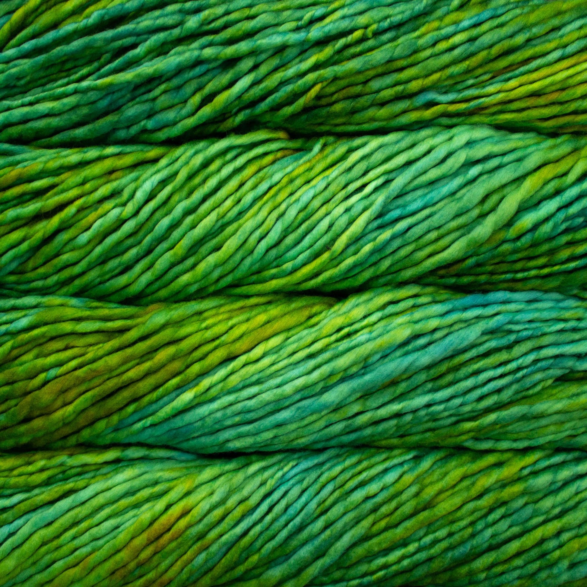 Malabrigo - Rasta - WoolAnn